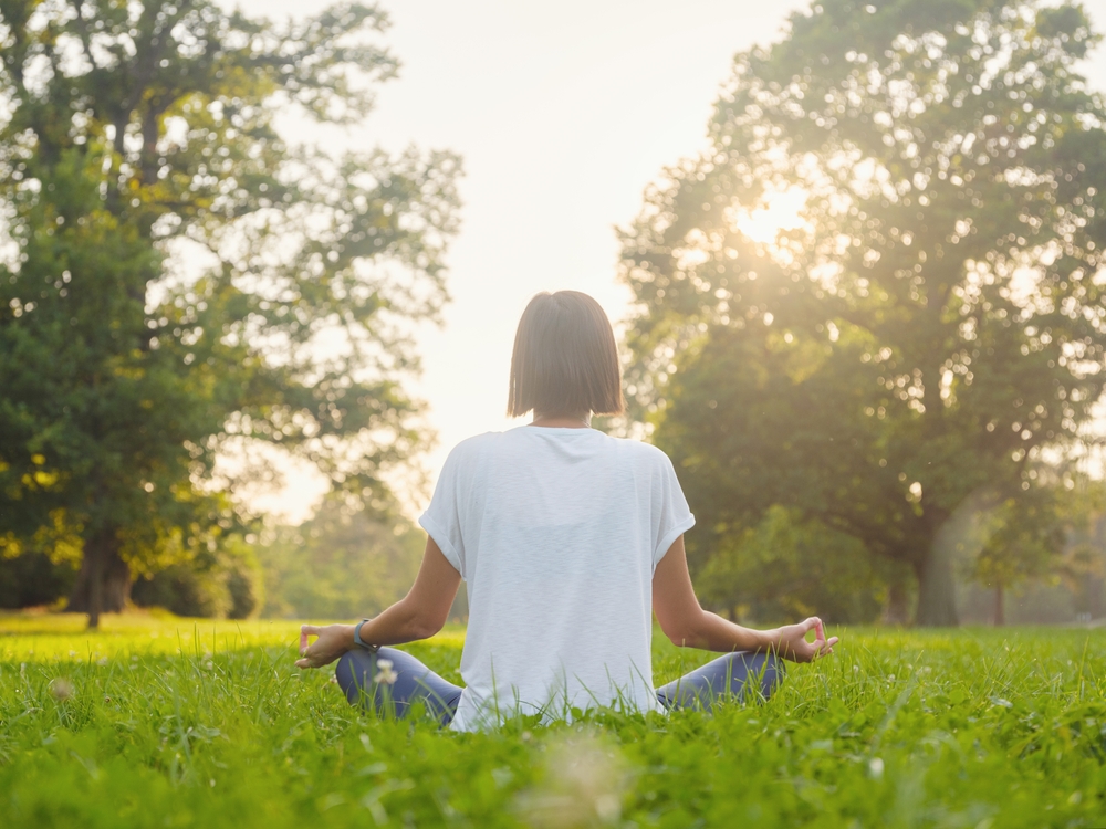 Mindfulness Mindfulness